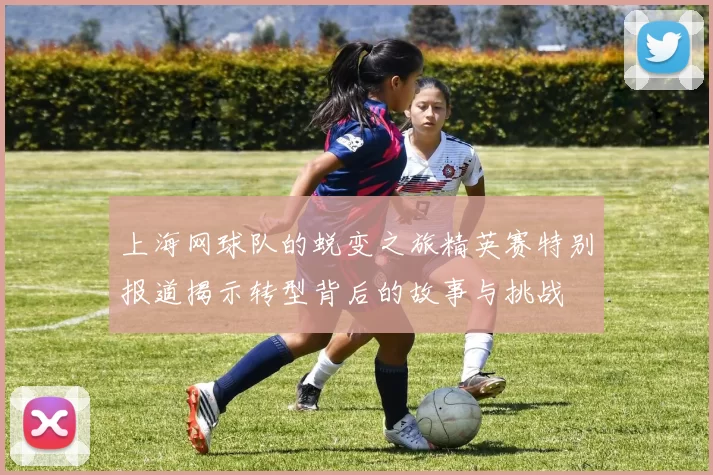 上海网球队的蜕变之旅精英赛特别报道揭示转型背后的故事与挑战