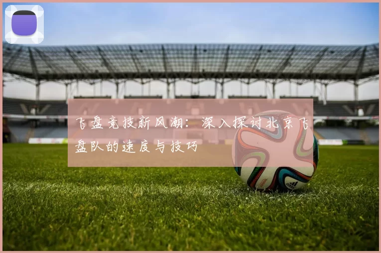 飞盘竞技新风潮：深入探讨北京飞盘队的速度与技巧