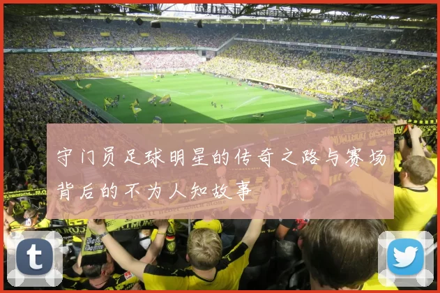 守门员足球明星的传奇之路与赛场背后的不为人知故事