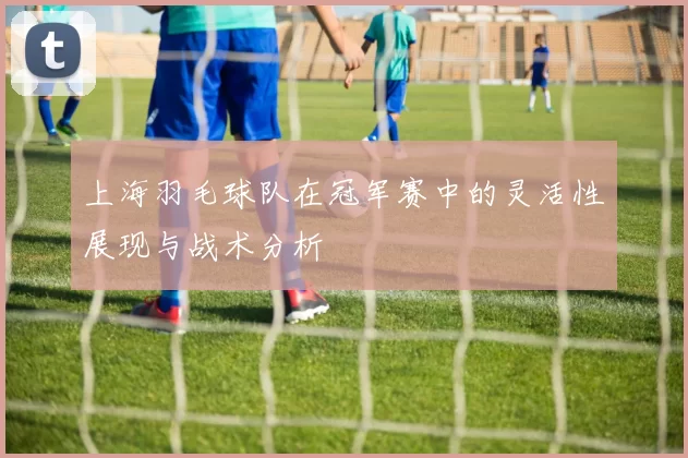 上海羽毛球队在冠军赛中的灵活性展现与战术分析