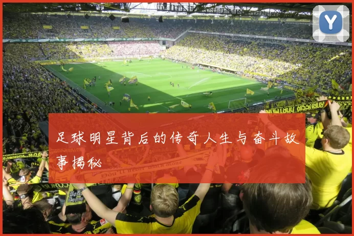 足球明星背后的传奇人生与奋斗故事揭秘
