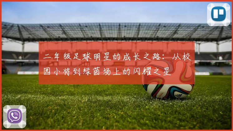 二年级足球明星的成长之路：从校园小将到绿茵场上的闪耀之星