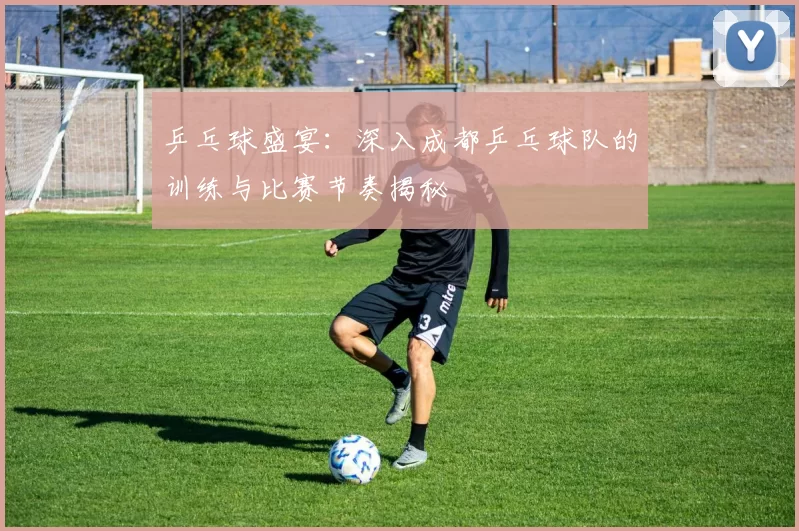 乒乓球盛宴：深入成都乒乓球队的训练与比赛节奏揭秘