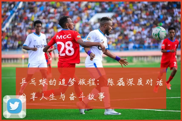 乒乓球的追梦旅程：陈磊深度对话分享人生与奋斗故事