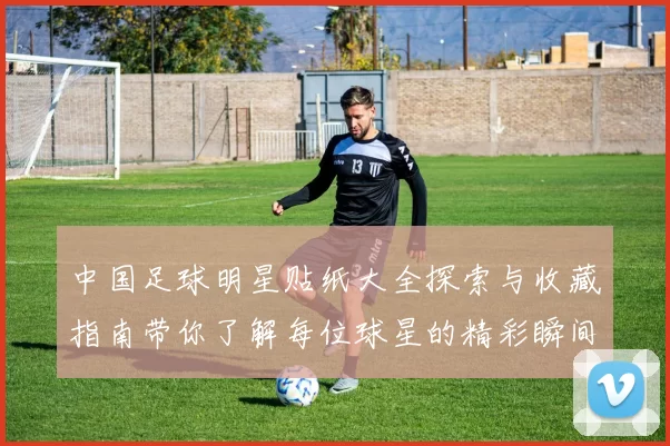 中国足球明星贴纸大全探索与收藏指南带你了解每位球星的精彩瞬间