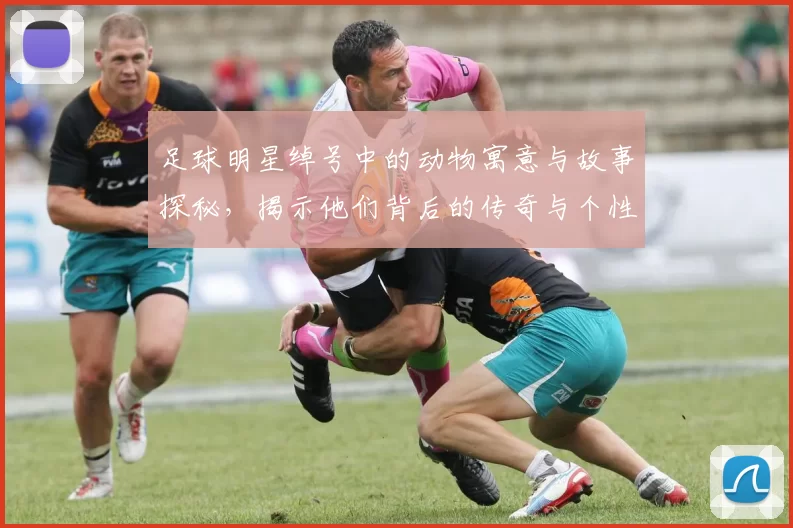 足球明星绰号中的动物寓意与故事探秘，揭示他们背后的传奇与个性