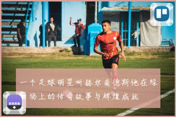 一个足球明星叫赫尔南德斯他在绿茵场上的传奇故事与辉煌成就