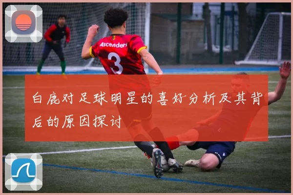 白鹿对足球明星的喜好分析及其背后的原因探讨