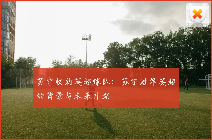 苏宁收购英超球队：苏宁进军英超的背景与未来计划