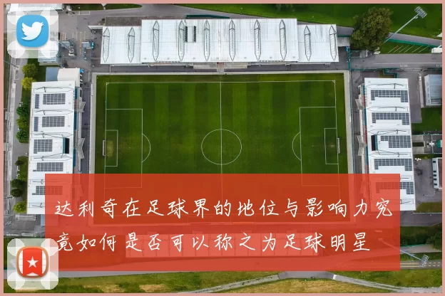 达利奇在足球界的地位与影响力究竟如何是否可以称之为足球明星