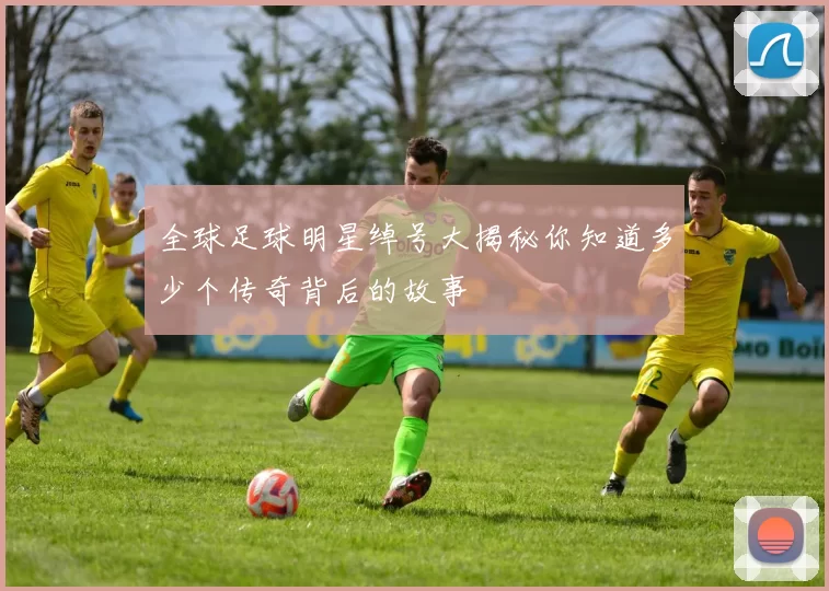 全球足球明星绰号大揭秘你知道多少个传奇背后的故事