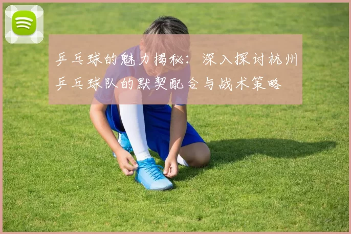 乒乓球的魅力揭秘：深入探讨杭州乒乓球队的默契配合与战术策略
