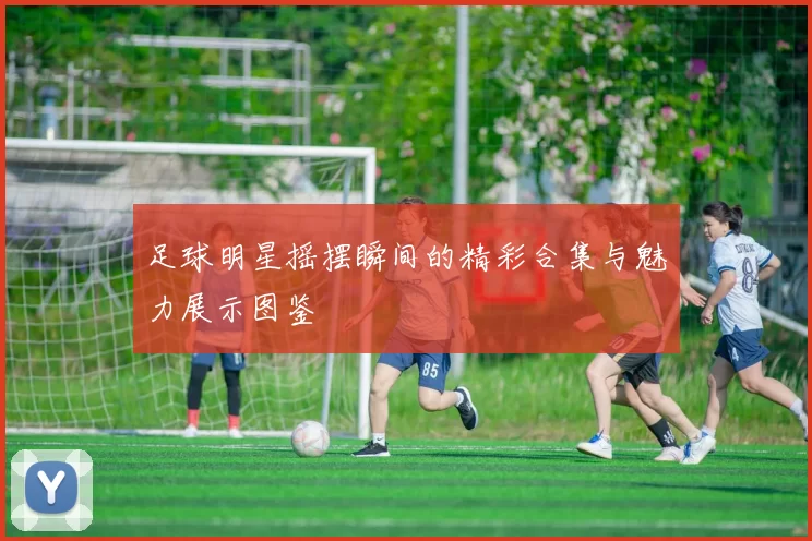 足球明星摇摆瞬间的精彩合集与魅力展示图鉴