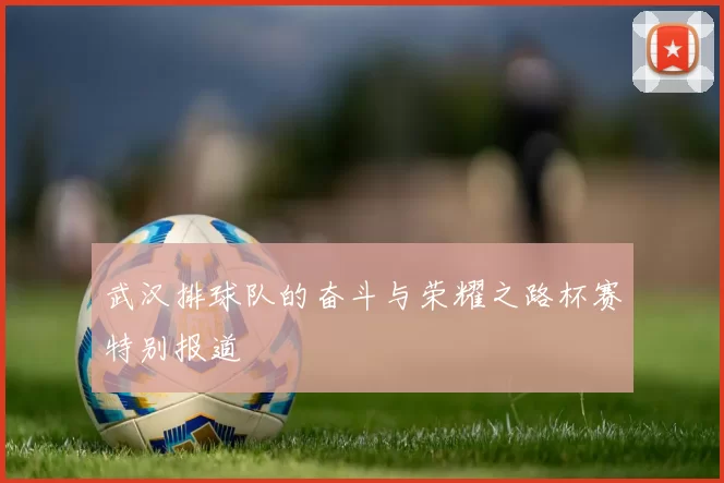 武汉排球队的奋斗与荣耀之路杯赛特别报道
