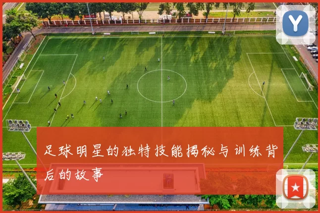 足球明星的独特技能揭秘与训练背后的故事