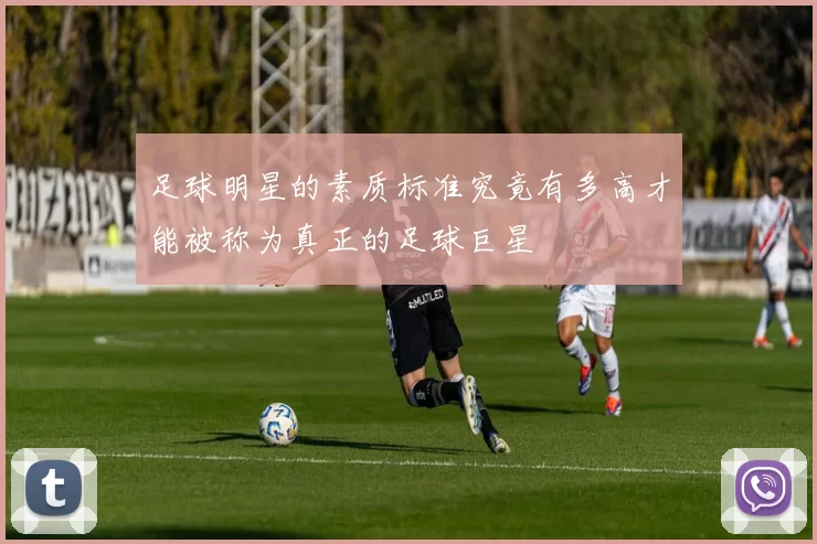 足球明星的素质标准究竟有多高才能被称为真正的足球巨星