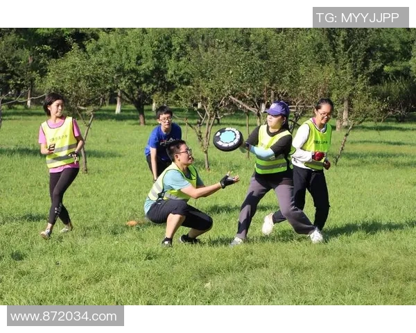 飞盘战术解析：深入剖析北京飞盘队的防守策略与技巧