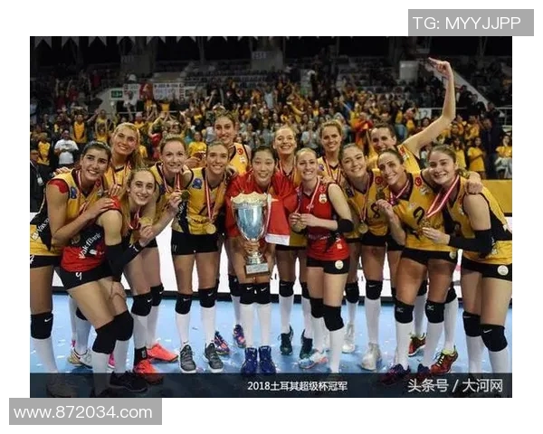 上海排球队灵活性展现全方位实力大满贯点评分析