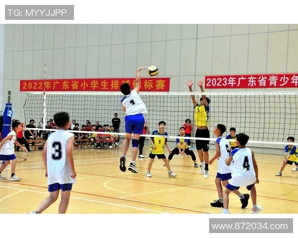 南京排球队在全国排球灵活性排行榜中荣获第八名的佳绩引发关注