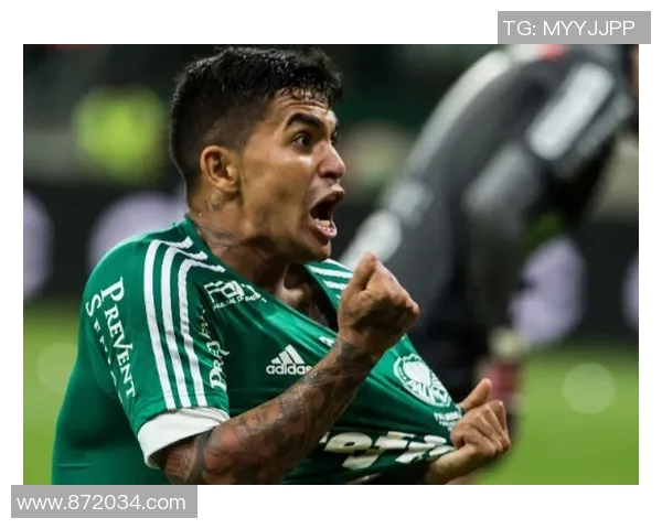 帕尔梅拉斯与庞普雷塔的精彩对决揭示足球战术的较量与激情