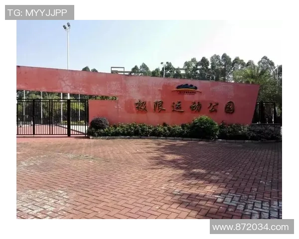 广州极限运动队勇闯马拉松大满贯的拼搏历程与心路历程分享